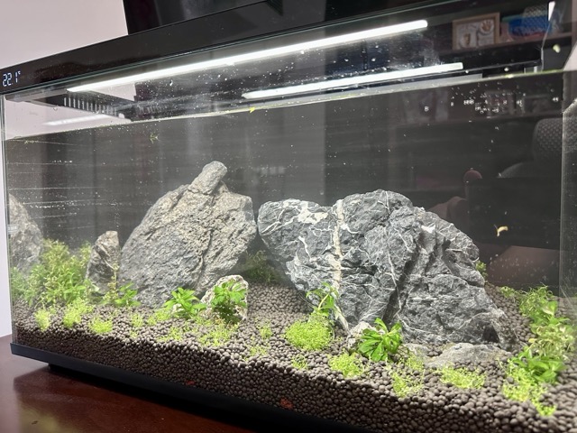 种水草,加水